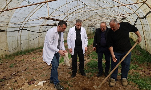 Büyükşehir’den örtü altı üreticiye destek