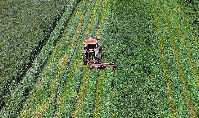 Konya Büyükşehir’in Macar Fiği Tohumu Desteği ile Ekilen Tarlalarda Hasat Yapıldı Başkan Altay: “Çiftçimize Verdiğimiz Desteklerle Millî Ekonomiye Katma Değer Sağlıyoruz”